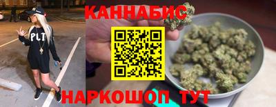 сатива Кинель