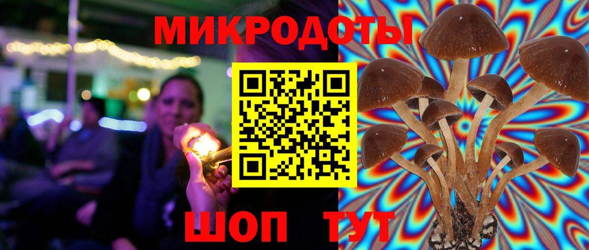 Шатура  Псилоцибиновые грибы мицелий  Вход с VPN 
