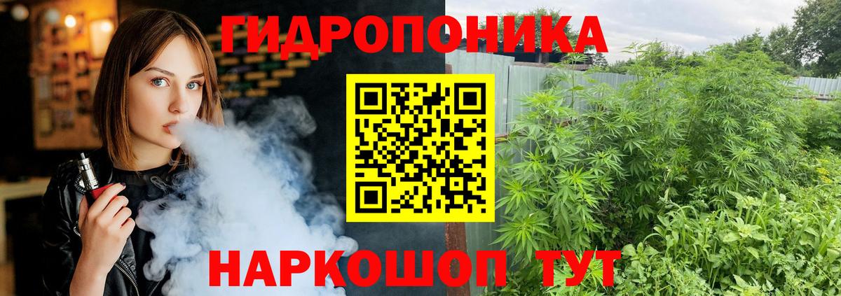 Меф Шатура